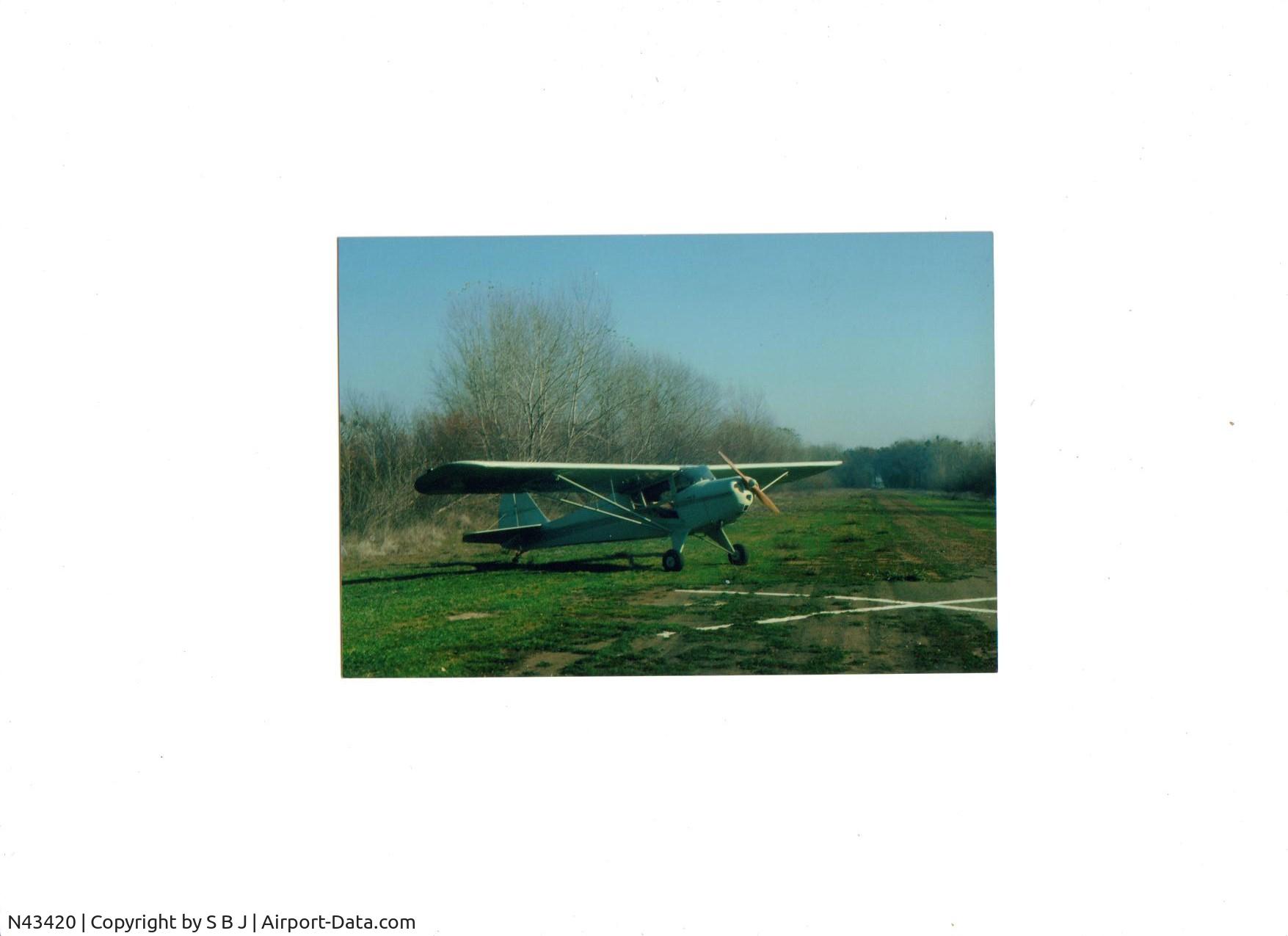 N43420, 1946 Taylorcraft BC12-D C/N 7079, 420 at Wiens airport near Turlock,CA around 1976. This was a wonderful flying Tcraft that gave me 250 hours of enjoyment!!!!!