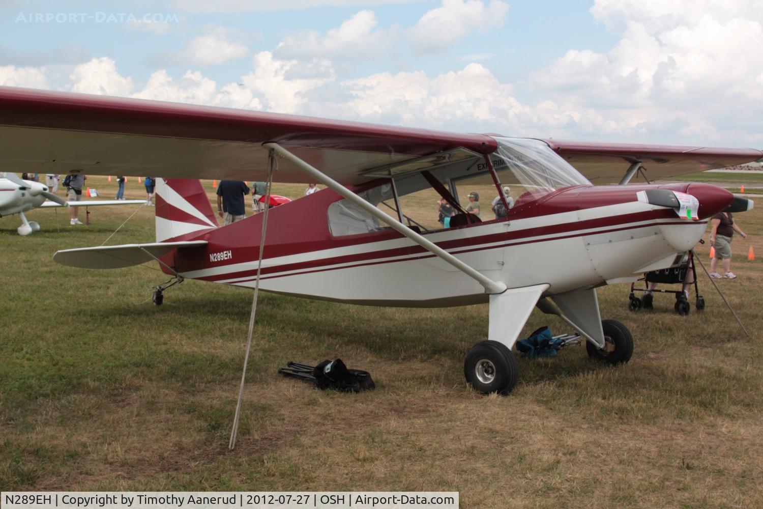 N289EH, Barrows Bearhawk LSA C/N 195611, BEARHAWK LSA, c/n: 195611