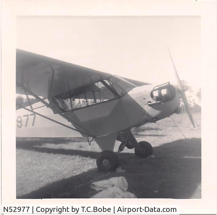 N52977, Piper J3C-65 Cub C/N 8846, This is from approx 1971 at Ferguson airport in Pensacola Florida while owned by T.C. Bobe