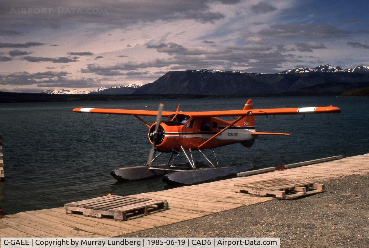 C-GAEE, 1954 De Havilland Canada DHC-2 Beaver Mk.I (L20A) C/N 724, Arriving at the Taku Air dock at Atlin, British Columbia.