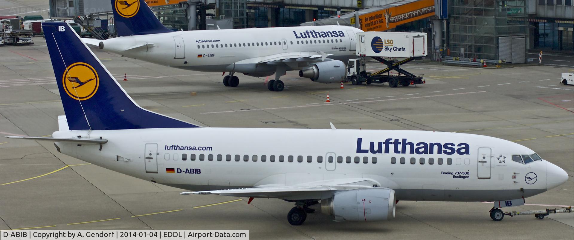 D-ABIB, 1990 Boeing 737-530 C/N 24816, Lufthansa, is here during pushback at Düsseldorf Int'l(EDDL)