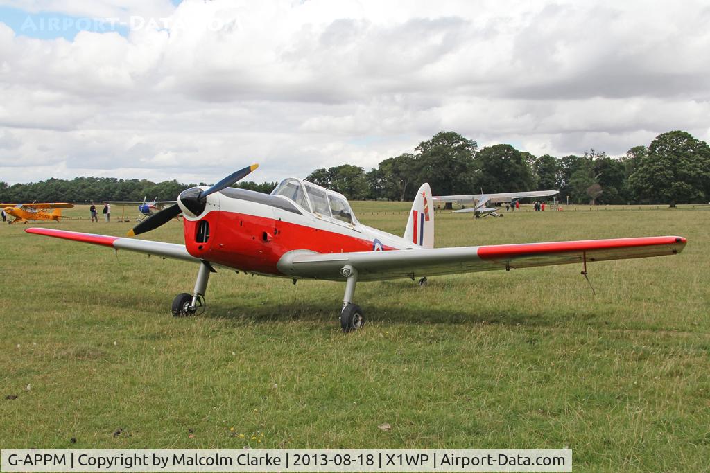 G-APPM, 1950 De Havilland DHC-1 Chipmunk 22 C/N C1/0159, De Havilland DHC-1 CHIPMUNK 22 at The De Havilland Moth Club's 28th International Moth Rally at Woburn Abbey. August 2013.