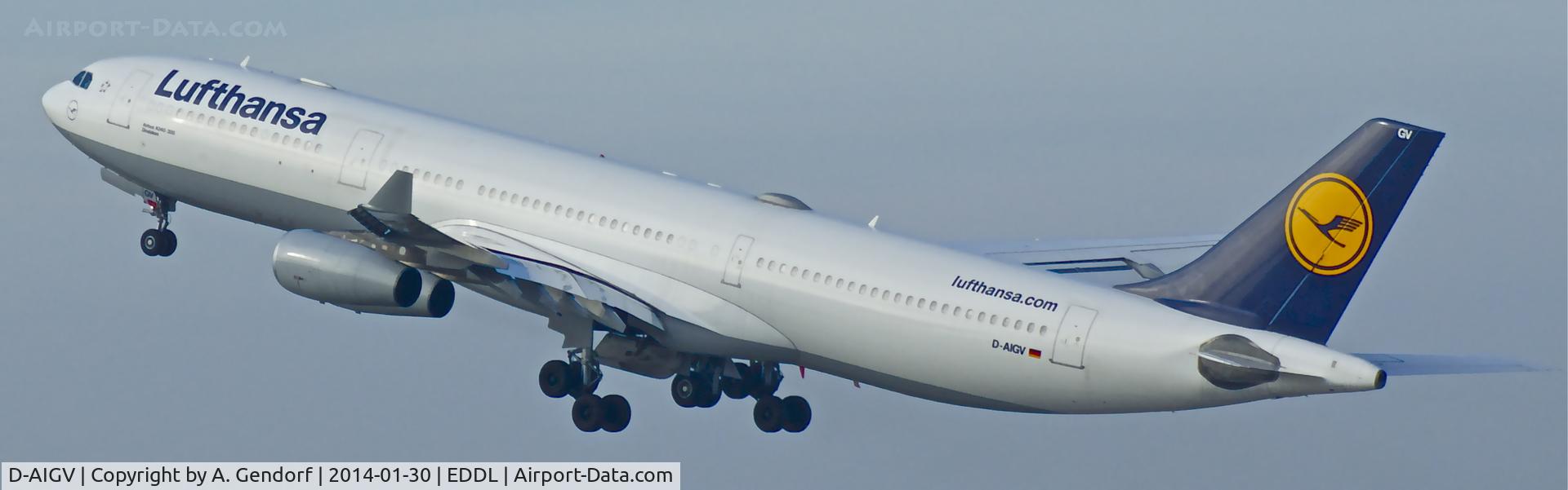 D-AIGV, 2000 Airbus A340-313X C/N 325, Lufthansa, is here climbing out after take off RWY 23L at Düsseldorf Int'l(EDDL)