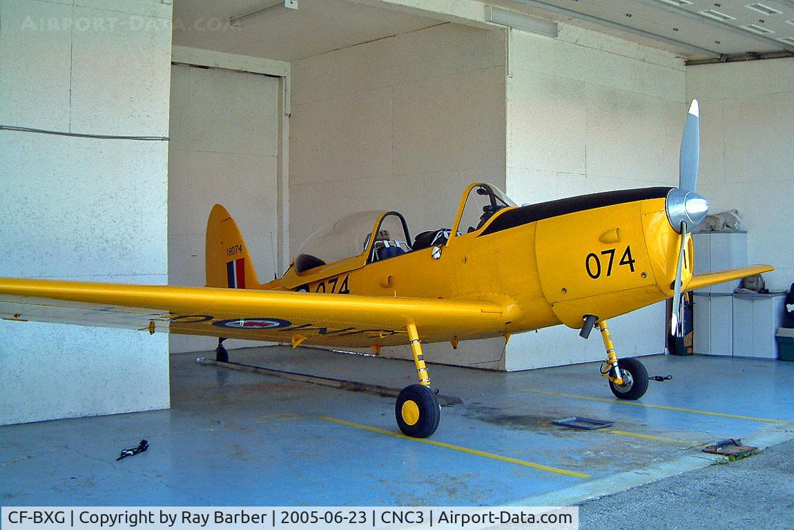 CF-BXG, 1956 De Havilland Canada DHC-1B-2-S5 Chipmunk Mk2 C/N 212-250, De Havilland Canada DHC-1B-2-55 Chipmunk [212/250] Brampton~C 23/06/2005