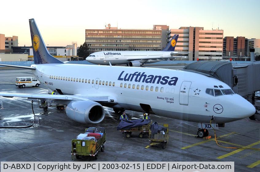 D-ABXD, 1986 Boeing 737-330 C/N 23525, Defunct with LH, now on Jet2, of all places... G-CELH 'FARO'