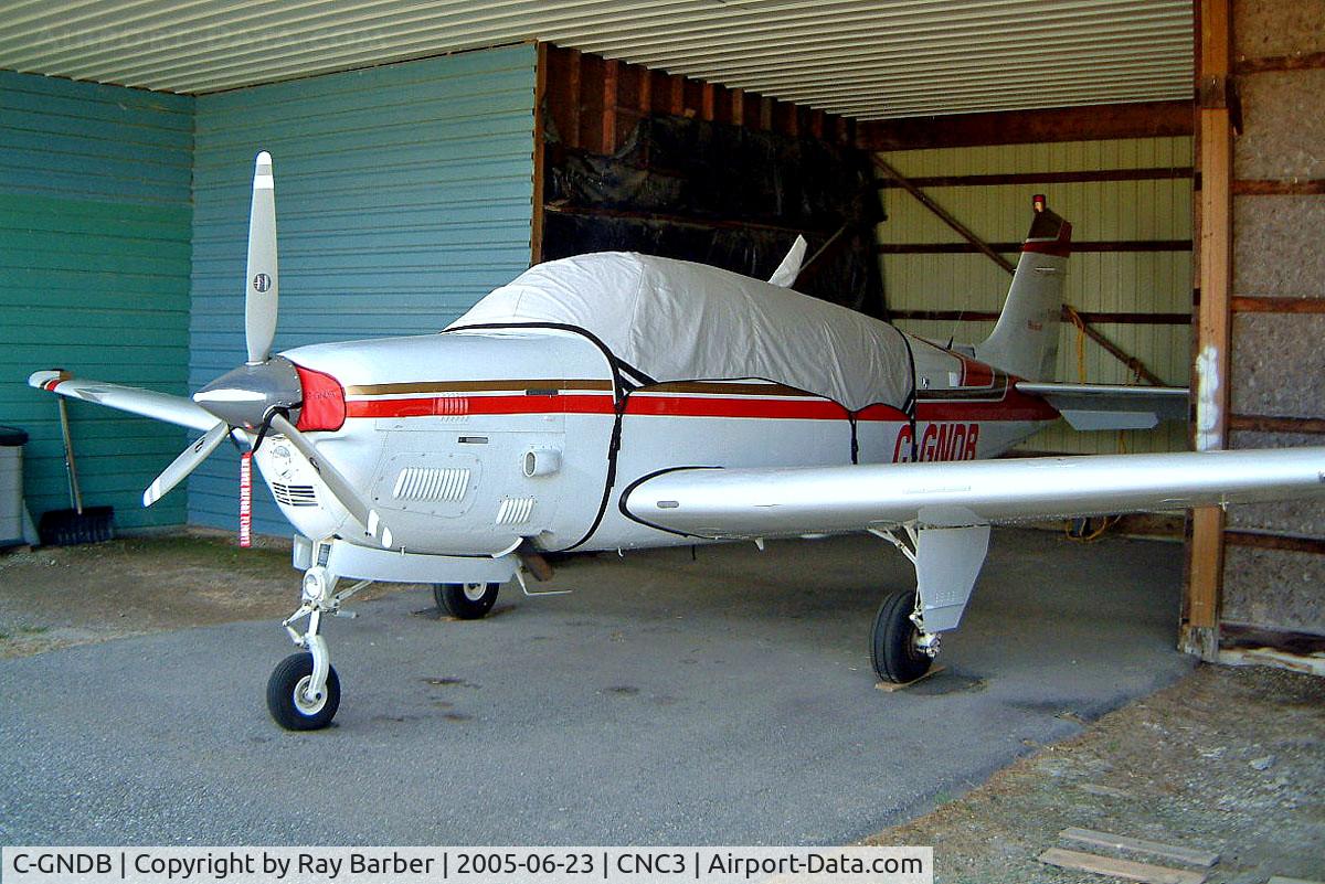 C-GNDB, 1986 Beech B36TC Bonanza C/N EA-460, Beech B36TC Bonanza [EA-460] Brampton~C 23/06/2005