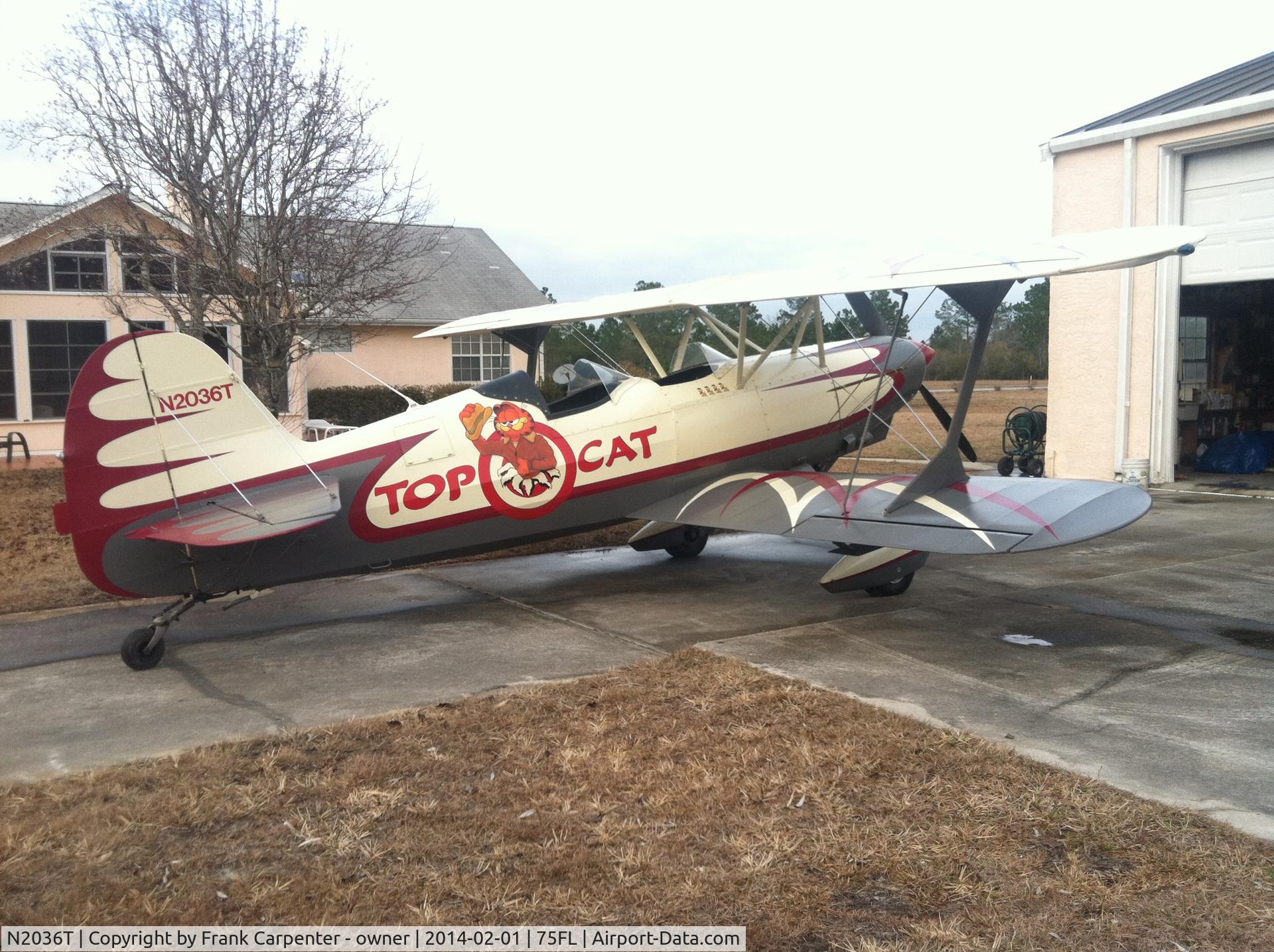 N2036T, 1977 Schweizer SGS 2-33A C/N 466, Top Cat