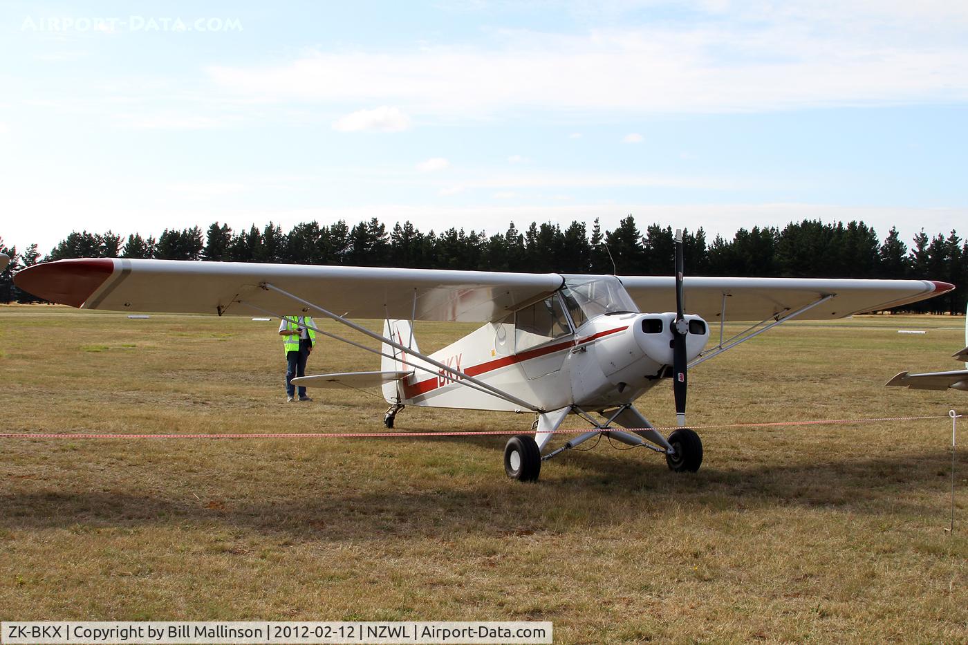 ZK-BKX, Piper PA-18 C/N 18-4864, Open Day