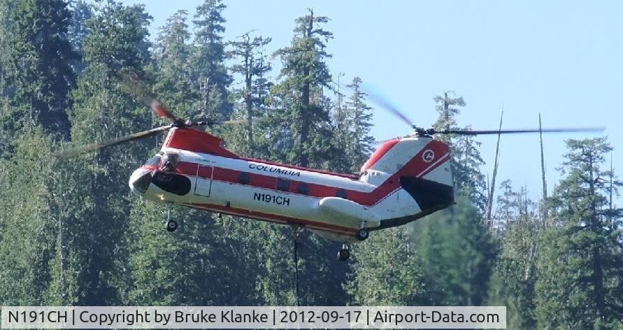 N191CH, 1962 Boeing Vertol 107-II C/N 2003, Columbia Helicopter's Chinook long-line delivery, for construction of 210-foot span Staircase Rapids suspension cable footbridge, Olympic National Park, Sept. 2012.