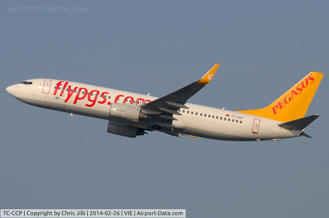 TC-CCP, 2009 Boeing 737-86J C/N 37746, Pegasus