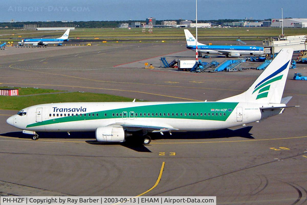 PH-HZF, 1999 Boeing 737-8K2 C/N 28378, Boeing 737-8K2 [28378] (Transavia) Schiphol~PH 13/09/2003
