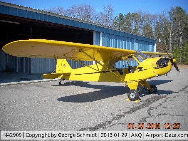 N42909, 1945 Piper J3C-65 Cub C/N 15244, Sitting Pretty