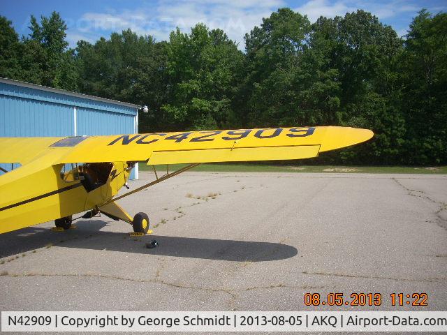 N42909, 1945 Piper J3C-65 Cub C/N 15244, Numbers on Wing