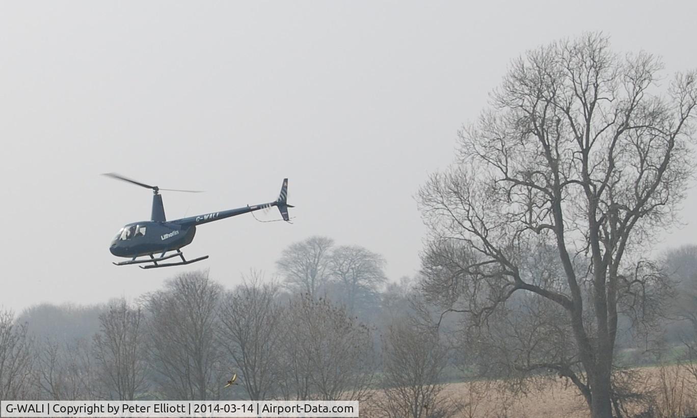 G-WALI, 2005 Robinson R44 II C/N 10849, Take off, Hampshire - March 2014