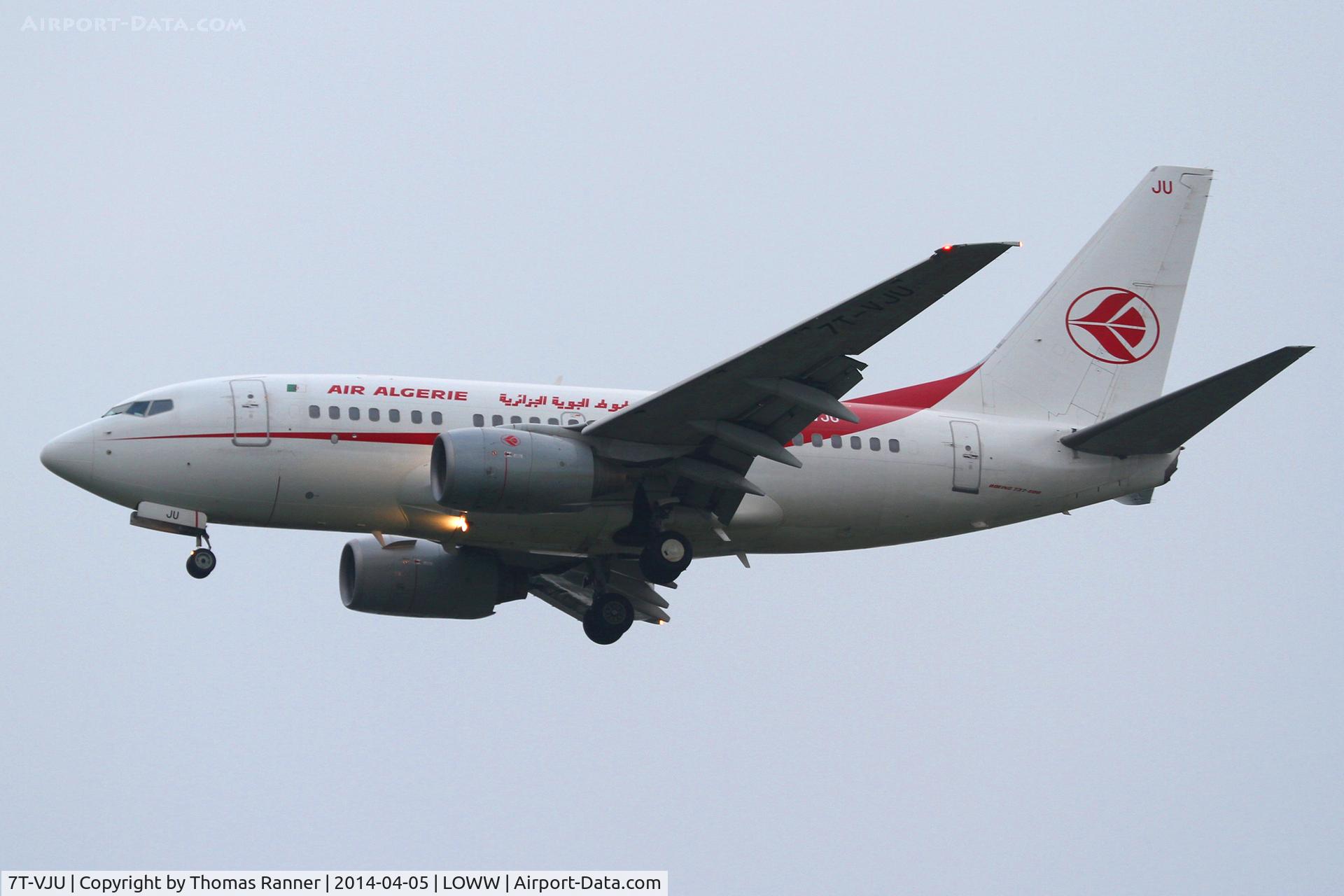 7T-VJU, 2002 Boeing 737-6D6 C/N 30211, Air Algerie B737