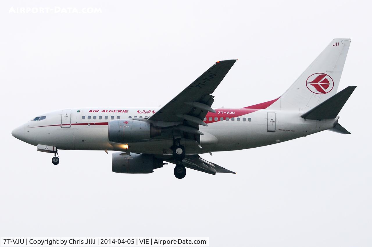 7T-VJU, 2002 Boeing 737-6D6 C/N 30211, Air Algérie