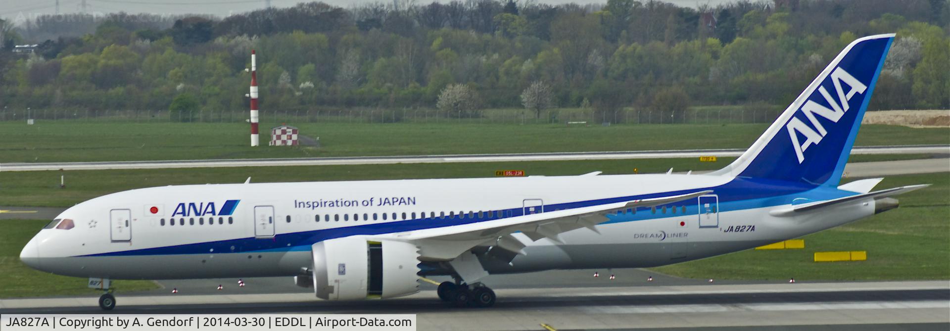 JA827A, 2013 Boeing 787-8 Dreamliner C/N 34509, ANA - All Nippon Airways (Inspiration Of Japan ttl.), seen here rolling on RWY 23L, after completing the maiden flight from Tokyo Narita(RJAA), at Düsseldorf Int'l(EDDL)