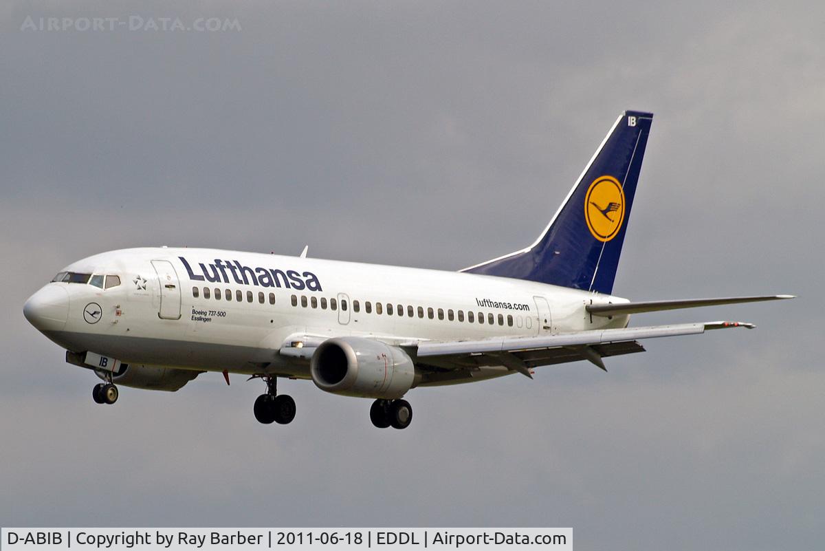 D-ABIB, 1990 Boeing 737-530 C/N 24816, Boeing 737-530 [24816] (Lufthansa) Dusseldorf~D 18/06/2011