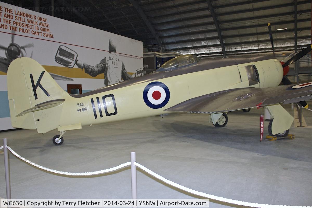 WG630, Hawker Sea Fury FB.11 C/N Not found WG630, Displayed at the  Australian Fleet Air Arm Museum,  a military aerospace museum located at the naval air station HMAS Albatross, near Nowra, New South Wales