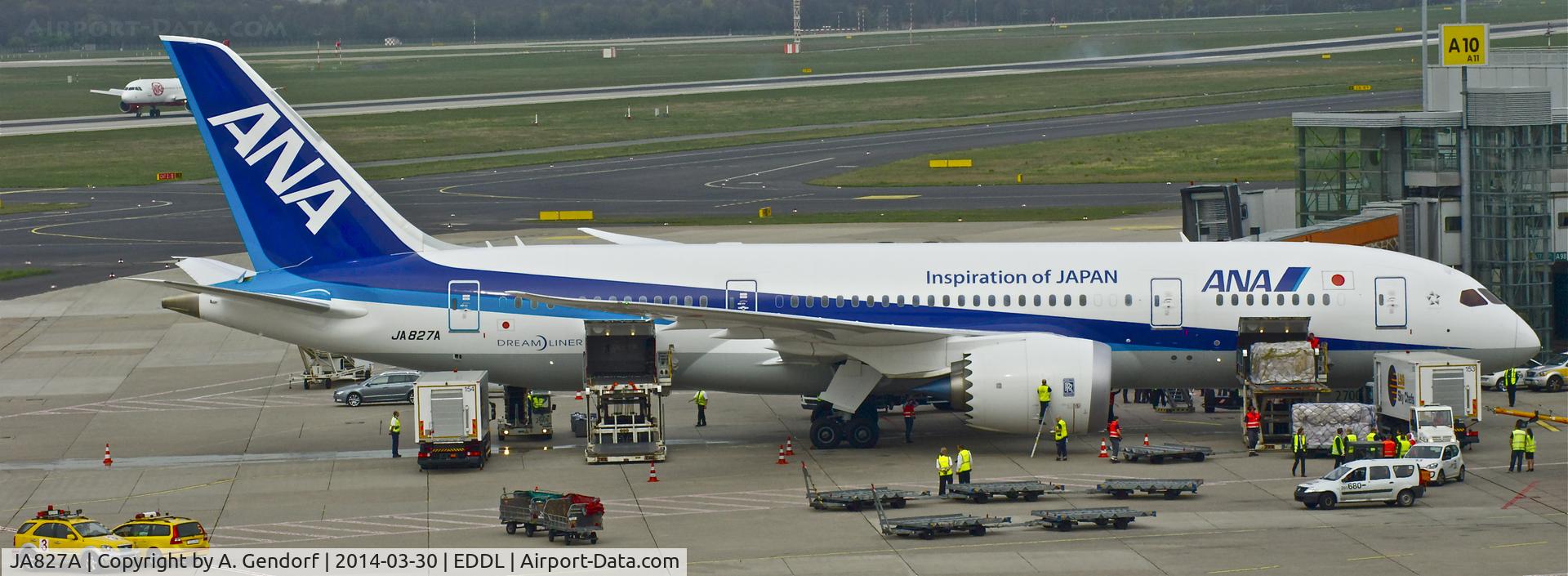 JA827A, 2013 Boeing 787-8 Dreamliner C/N 34509, ANA, seen here at the Gate at Düsseldorf Int'l(EDDL)