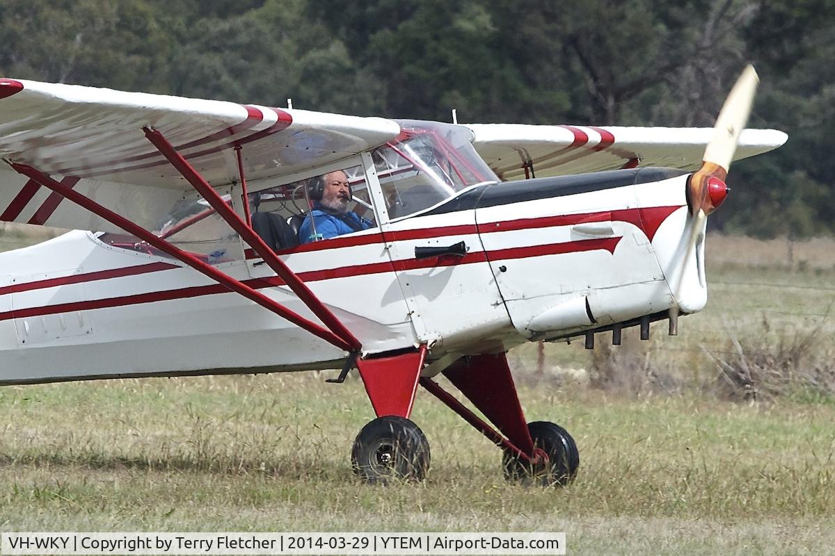 VH-WKY, 1952 Auster J-5F Aiglet Trainer C/N 2784, At Temora Airport during the 40th Anniversary Fly-In of the Australian Antique Aircraft Association