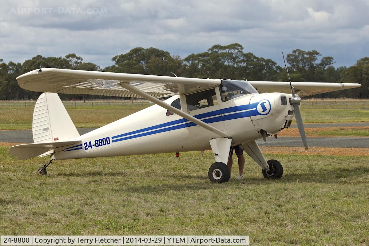 24-8800, 1947 Luscombe 8E Silvaire C/N 5339, At Temora Airport during the 40th Anniversary Fly-In of the Australian Antique Aircraft Association