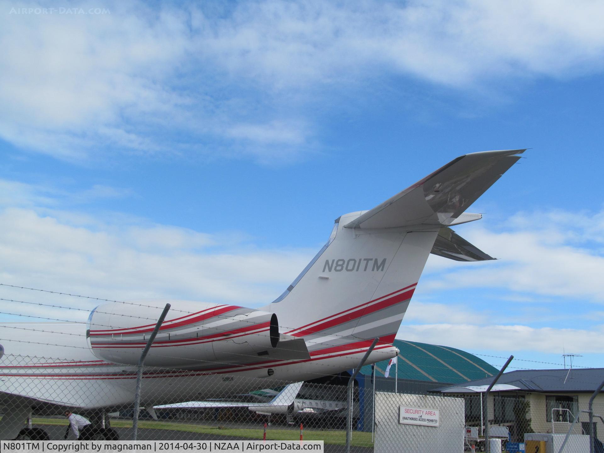 N801TM, 2008 Gulfstream Aerospace GV-SP (G550) C/N 5222, Nice paint job on this one