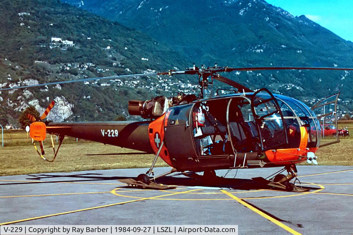 V-229, F+W Emmen SE-3160 Alouette III C/N 105/1051, Sud Aviation SE.3160 Alouette III [105] (Swiss Air Force) Locarno~HB 27/09/1984. Taken from a slide.