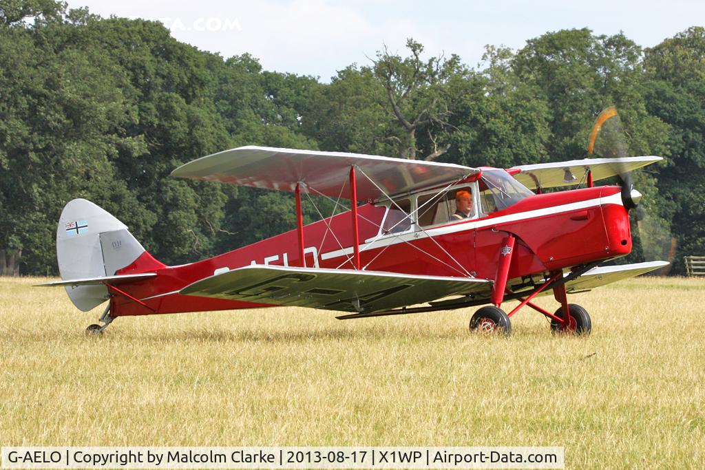 G-AELO, 1936 De Havilland DH.87B Hornet Moth C/N 8105, De Havilland DH-87B Hornet Moth at The De Havilland Moth Club's 28th International Moth Rally at Woburn Abbey. August 2013.