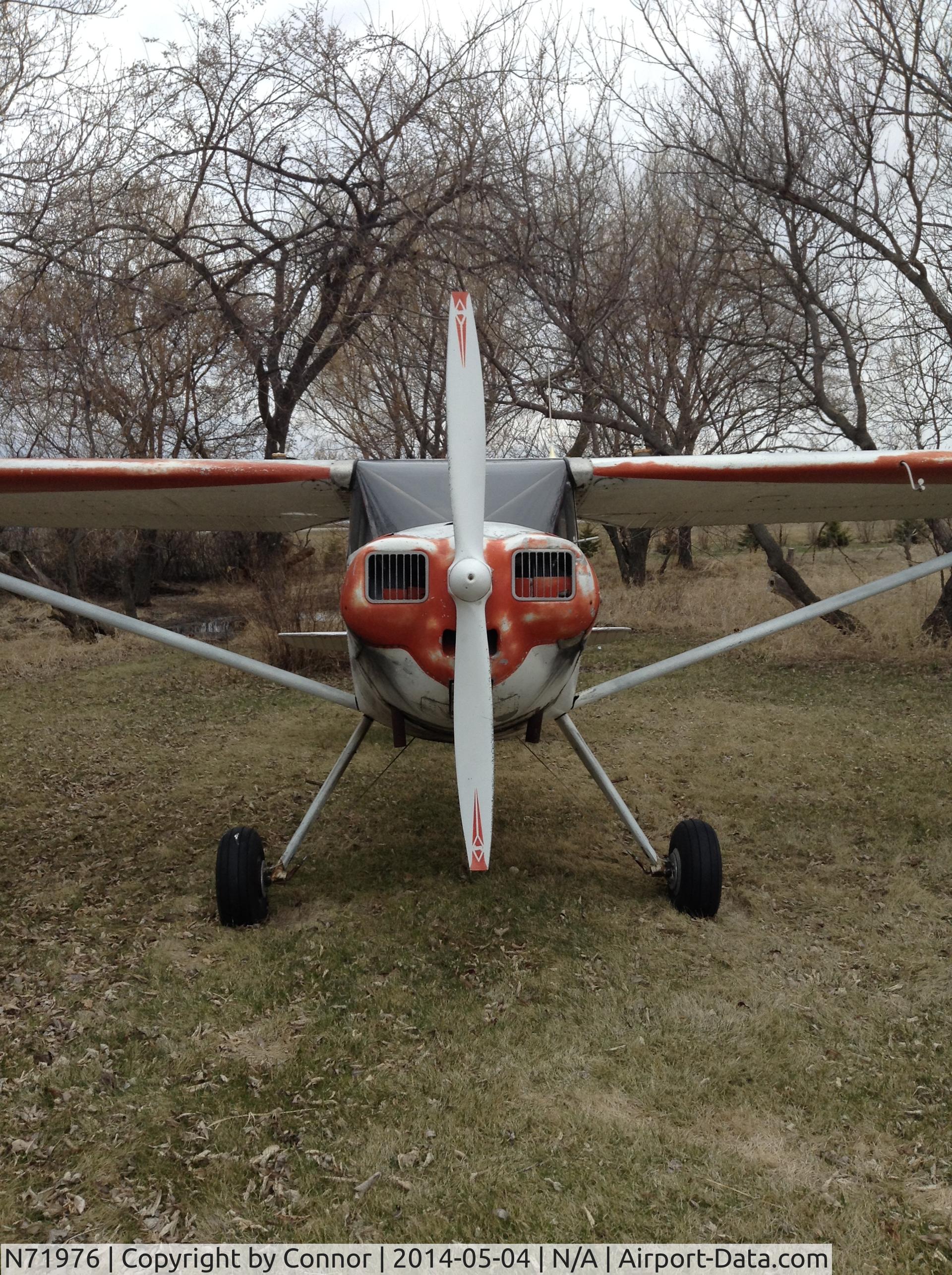 N71976, 1946 Luscombe 8A C/N 3403, 1946 Luscombe 8A