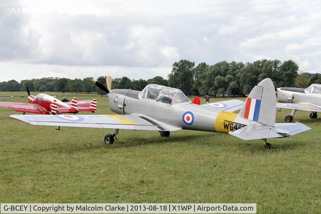 G-BCEY, 1951 De Havilland DHC-1 Chipmunk T.10 C/N C1/0515, De Havilland DHC-1 Chipmunk Mk22 at The De Havilland Moth Club's 28th International Moth Rally at Woburn Abbey. August 2013.