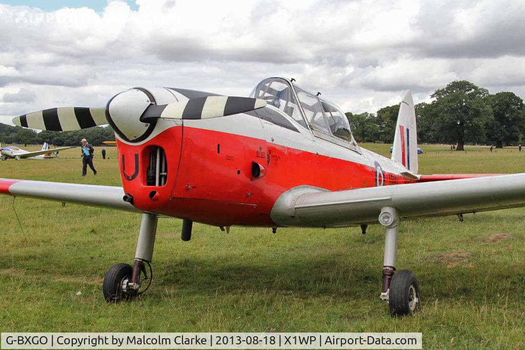 G-BXGO, 1950 De Havilland DHC-1 Chipmunk T.10 C/N C1/0097, De Havilland DHC-1 Chipmunk 22 at The De Havilland Moth Club's 28th International Moth Rally at Woburn Abbey. August 2013.
