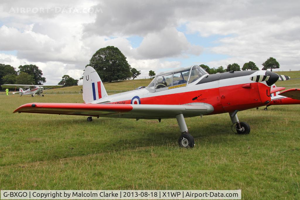 G-BXGO, 1950 De Havilland DHC-1 Chipmunk T.10 C/N C1/0097, De Havilland DHC-1 Chipmunk 22 at The De Havilland Moth Club's 28th International Moth Rally at Woburn Abbey. August 2013.