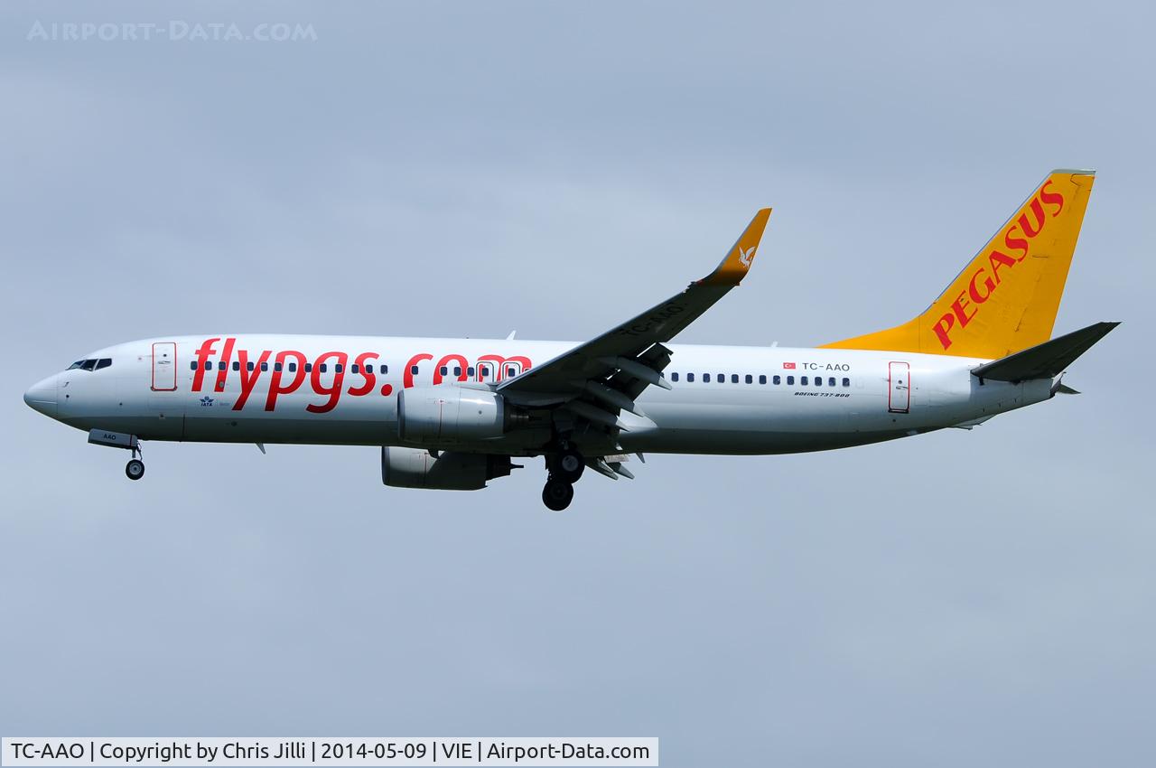 TC-AAO, 2000 Boeing 737-86N C/N 28619, Pegasus