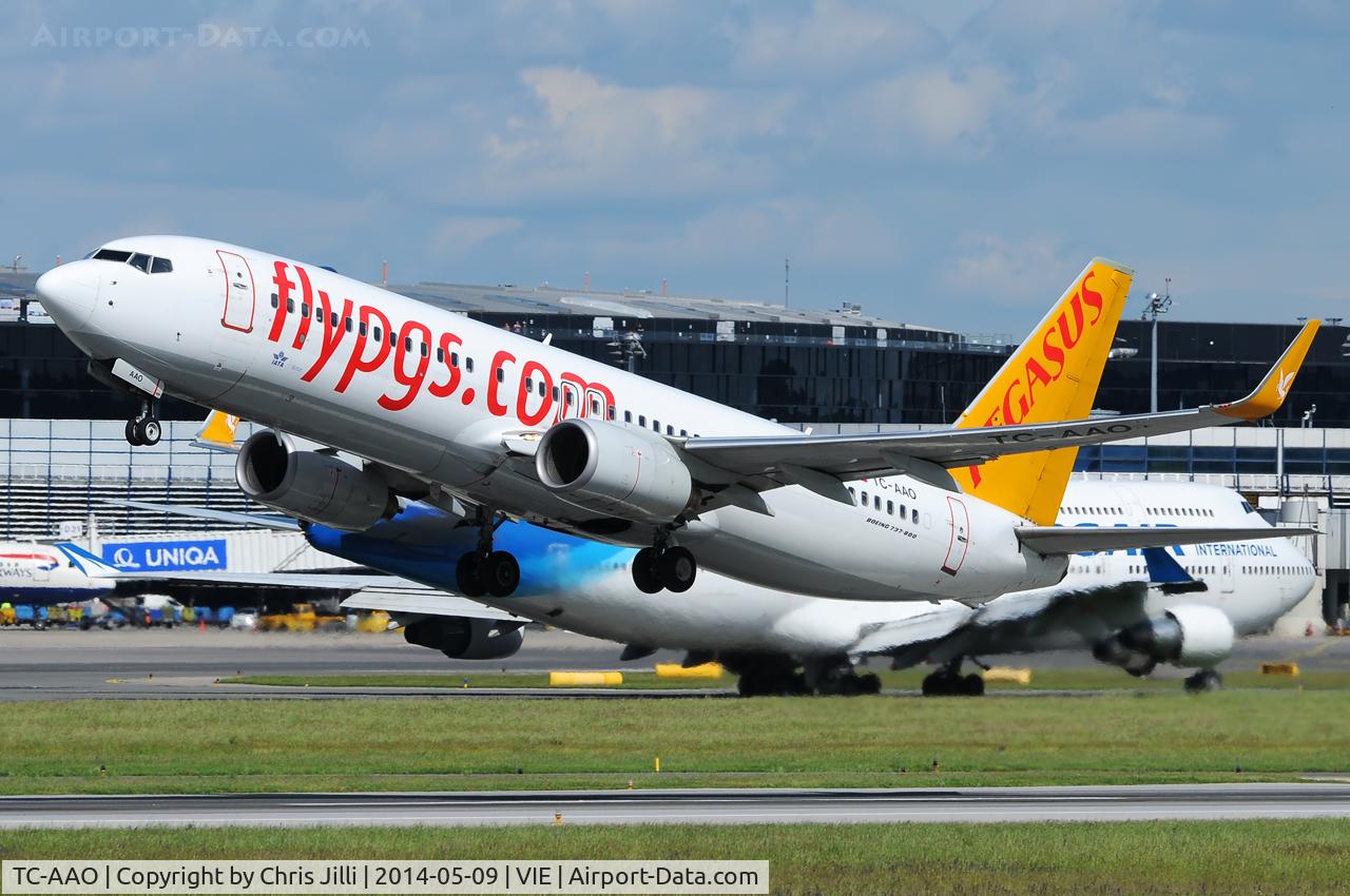 TC-AAO, 2000 Boeing 737-86N C/N 28619, Pegasus