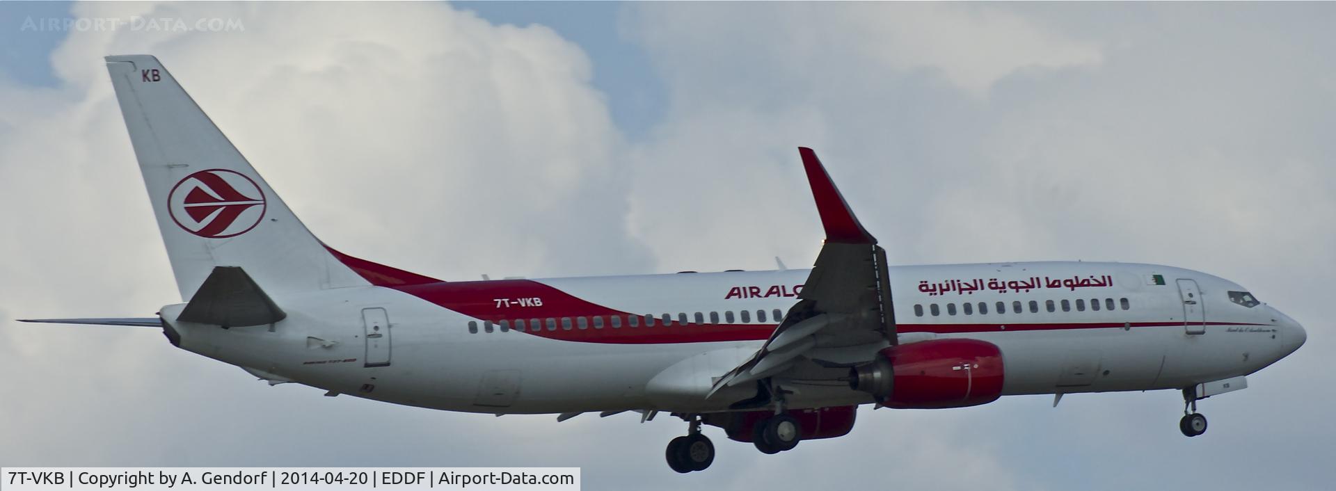 7T-VKB, 2005 Boeing 737-8D6 C/N 34165, Air Algerie, is here landing at Frankfurt Rhein/Main Int'l(EDDF)