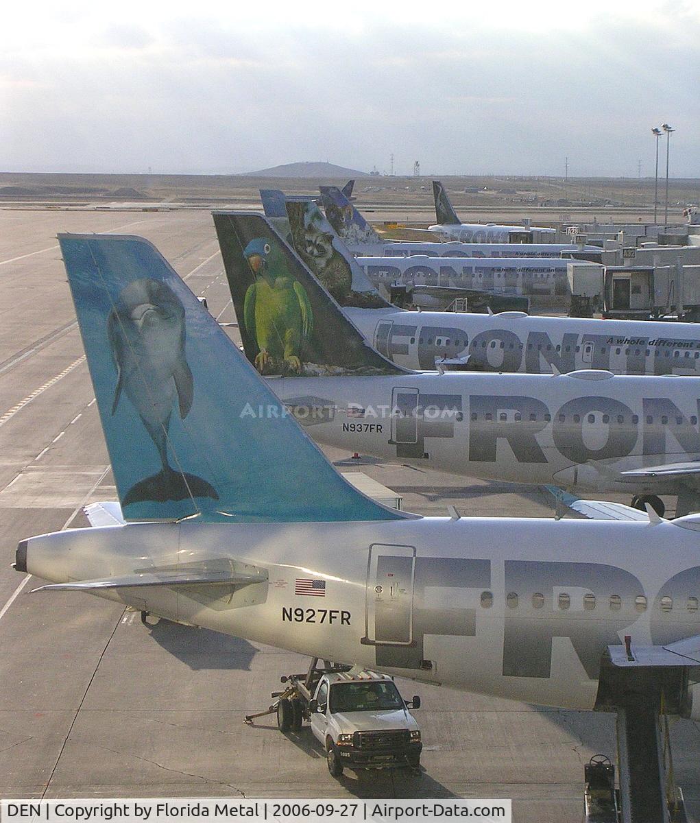 Denver International Airport (DEN) - Frontier tails at Concourse A