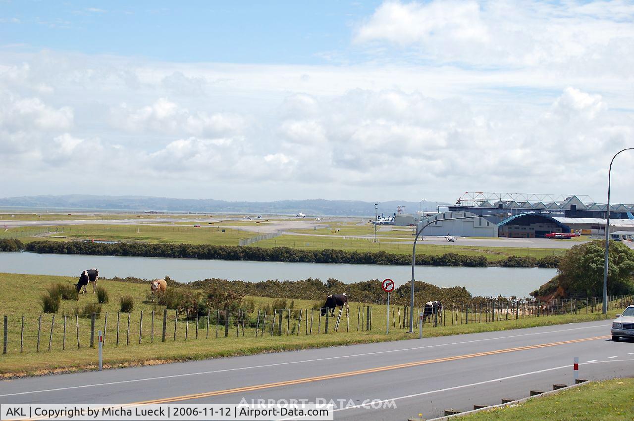Auckland International Airport, Auckland New Zealand (AKL) - Auckland airport is quite rural - mooh!