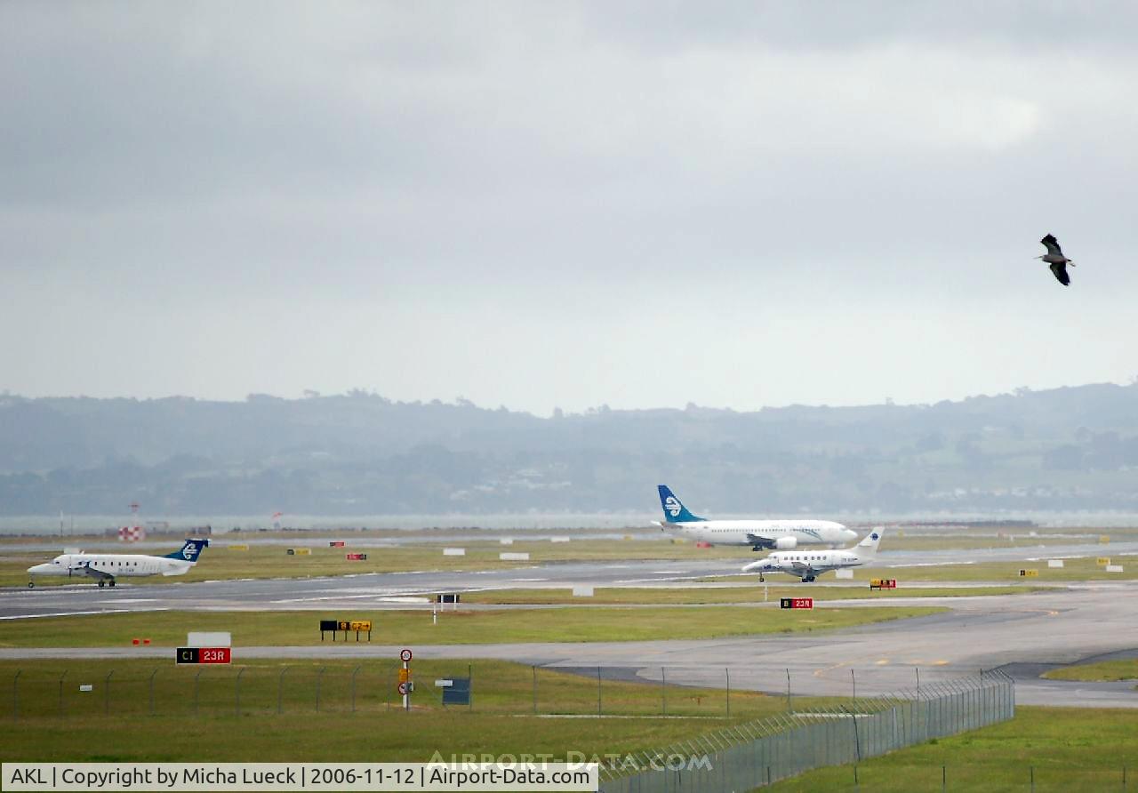 Auckland International Airport, Auckland New Zealand (AKL) - Four birds ;-)