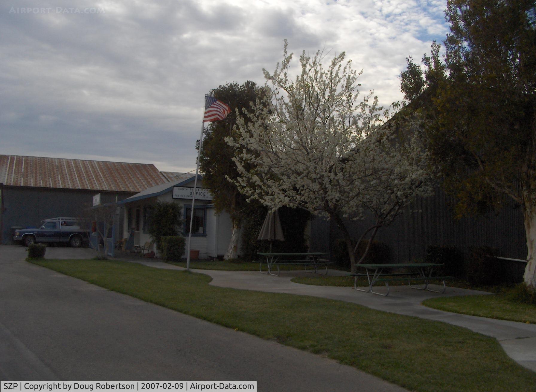 Santa Paula Airport (SZP) - Santa Paula Airport Office, Shade tree in bloom