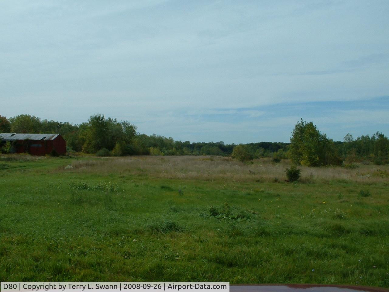Olcott-newfane Airport (D80) - Runway is overgrown, looking east from the road.