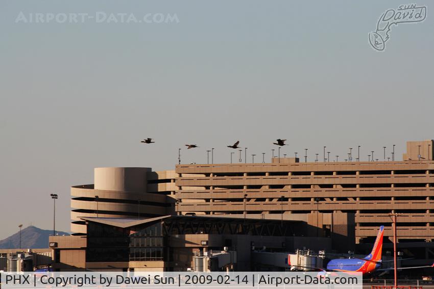 Phoenix Sky Harbor International Airport (PHX) - Pheonix