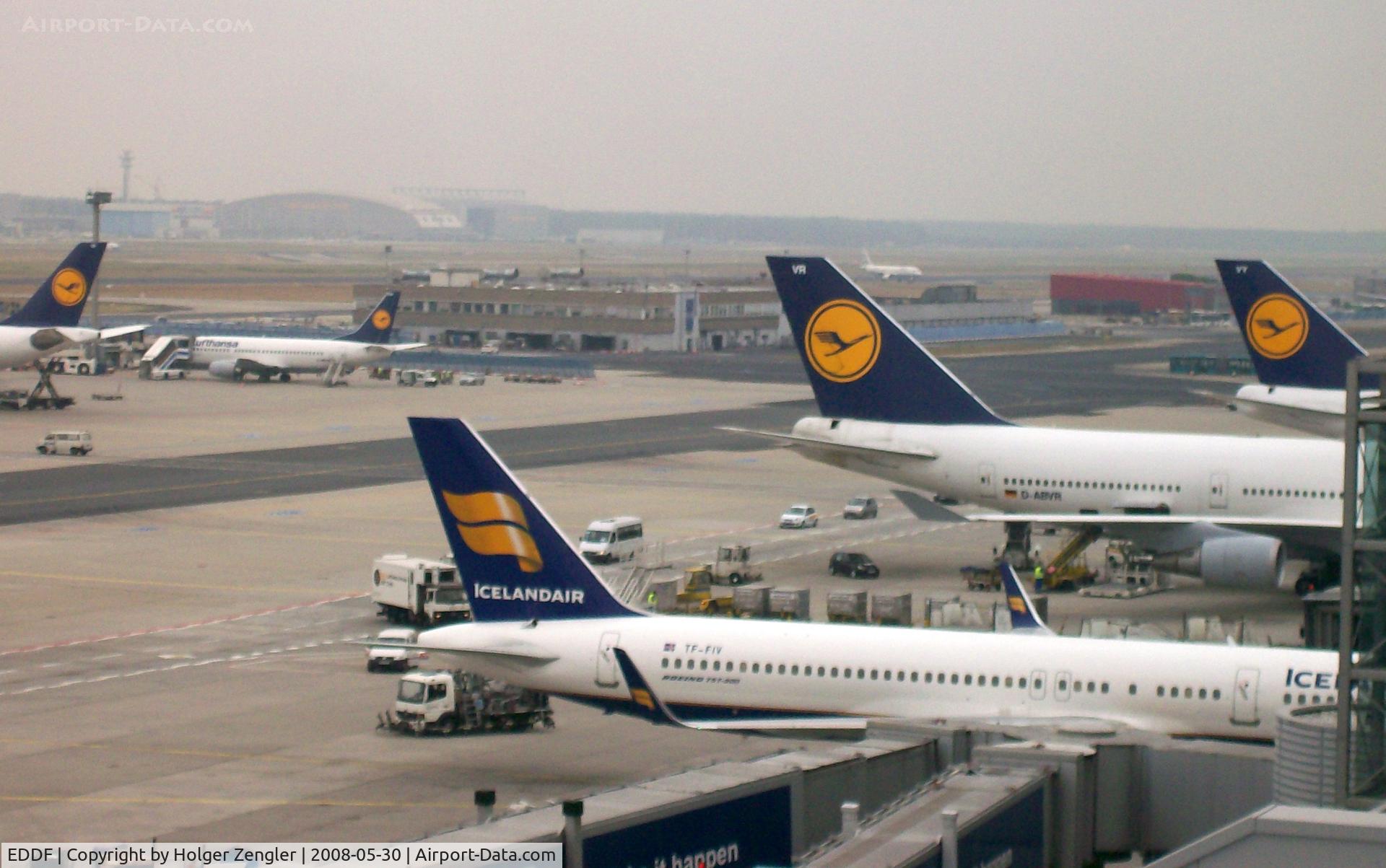 Frankfurt International Airport, Frankfurt am Main Germany (EDDF) - One of these birds isn´t equal like the others....