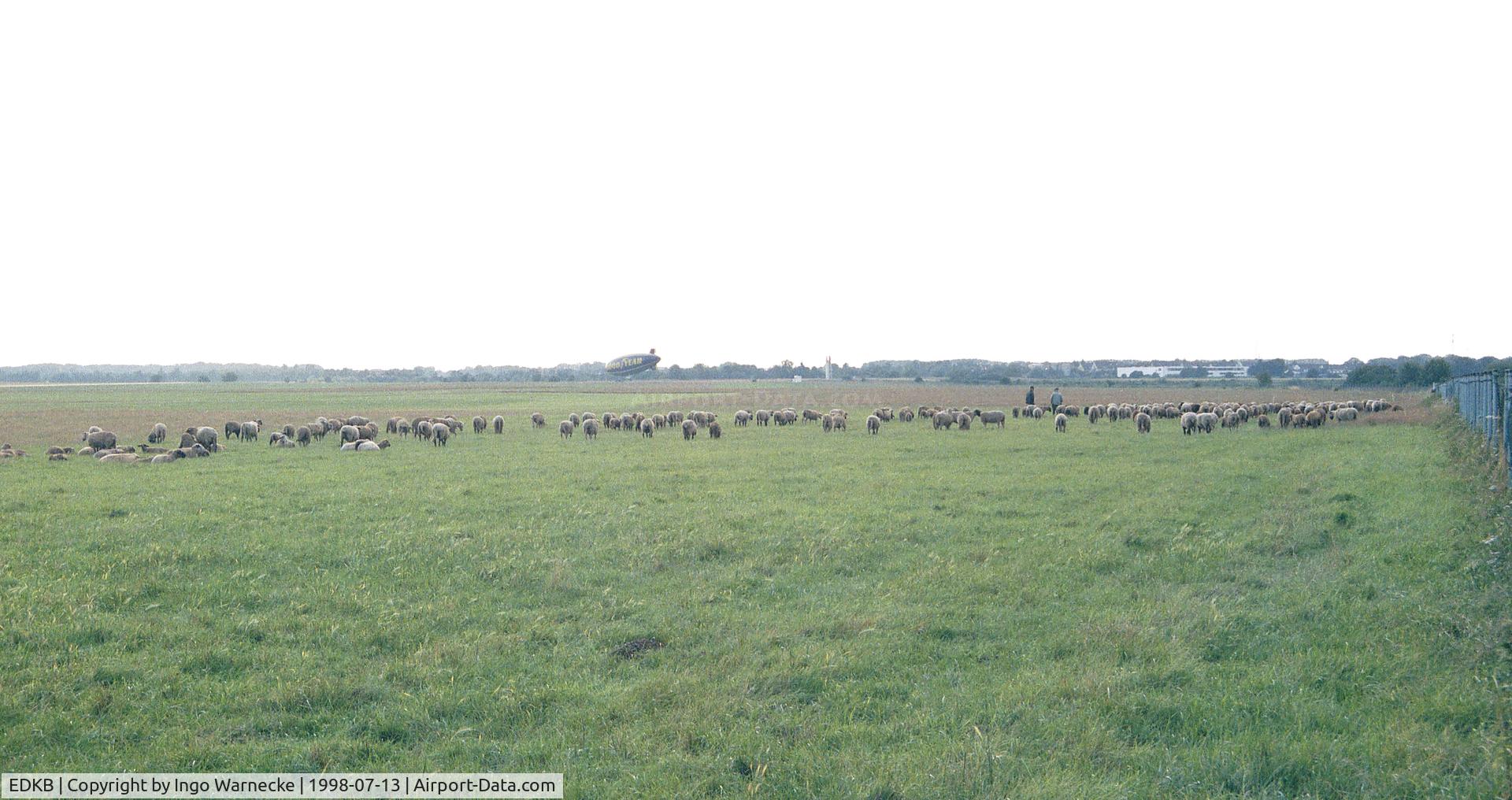Bonn-Hangelar Airport, Sankt Augustin Germany (EDKB) - the airfield mowing and fertilizing team (i.e. herd of sheep) in action, but well away from the runway
