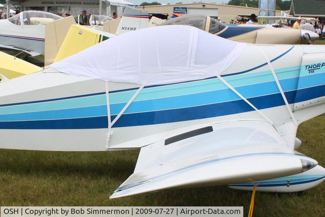 Wittman Regional Airport (OSH) - Thorps lined up at Airventure 2009