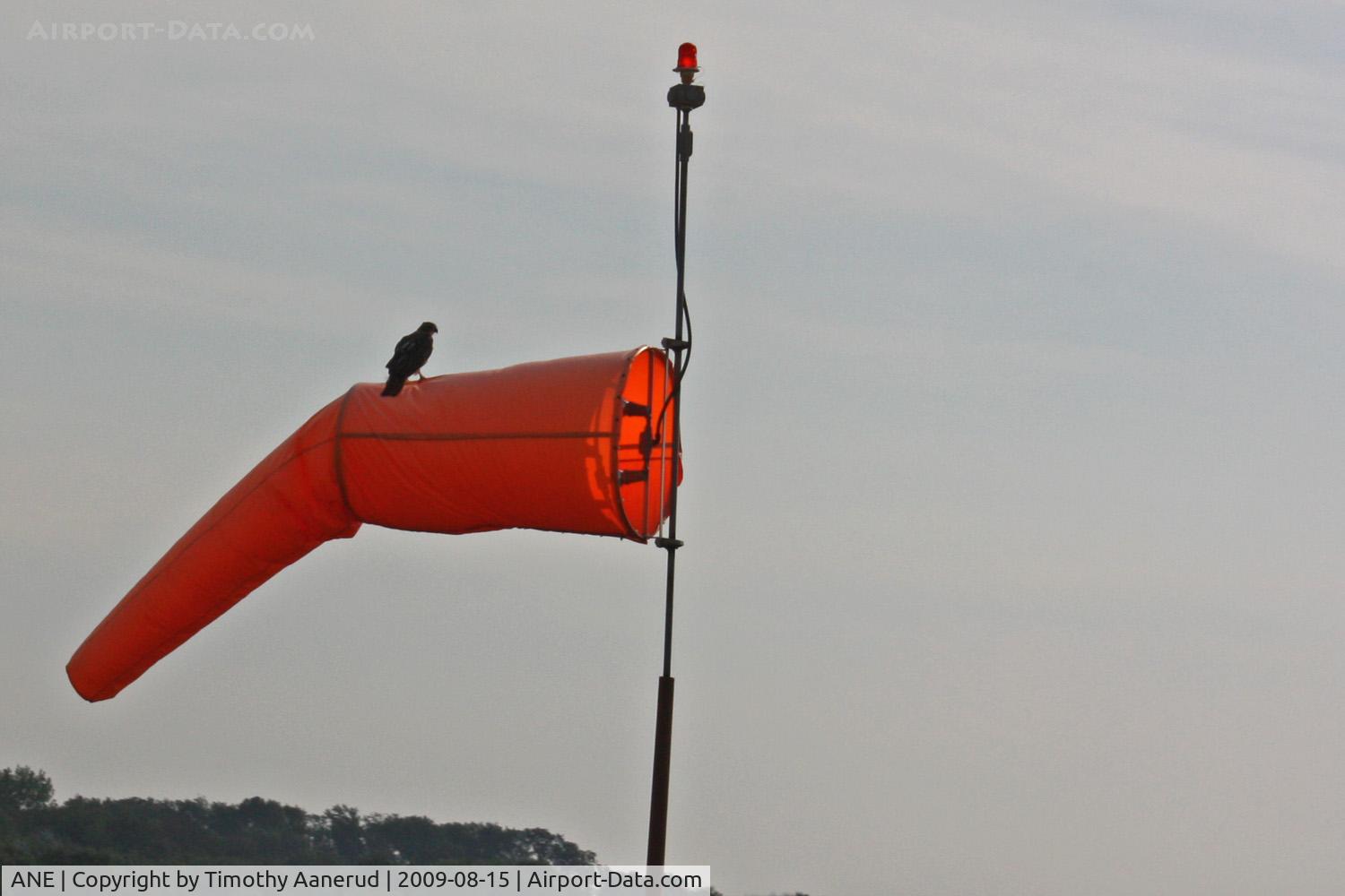 Anoka County-blaine Arpt(janes Field) Airport (ANE) - Bird sitting on the windsock