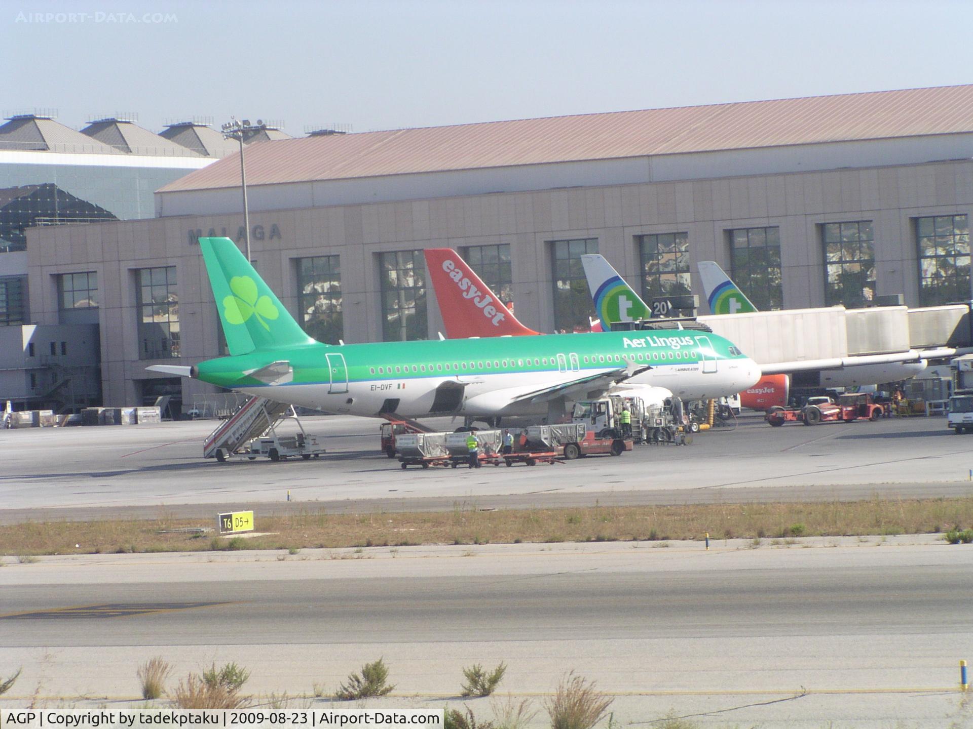 Málaga Airport, Málaga Spain (AGP) - Malaga, Spain