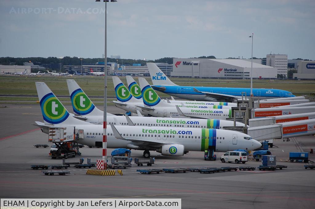 Amsterdam Schiphol Airport, Haarlemmermeer, near Amsterdam Netherlands (EHAM) - Transavia Corner