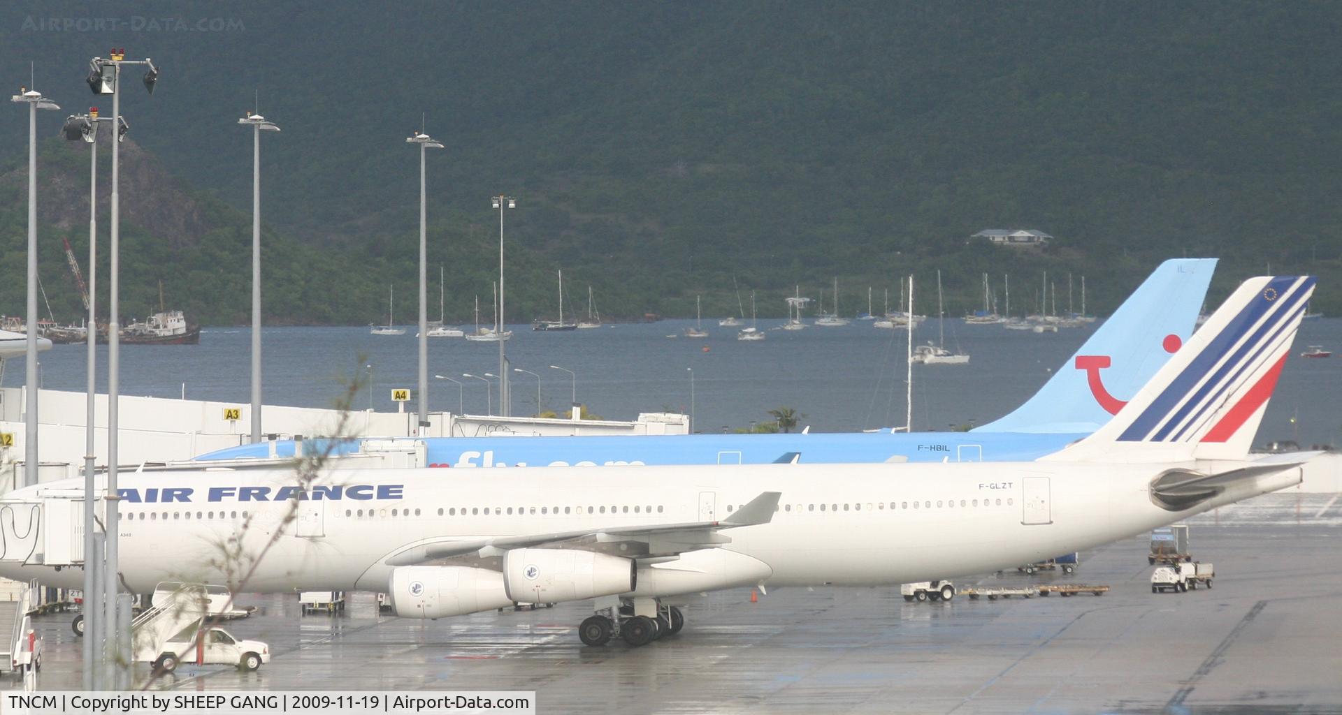 Princess Juliana International Airport, Philipsburg, Sint Maarten Netherlands Antilles (TNCM) - Two good looking birds sitting at he gates
