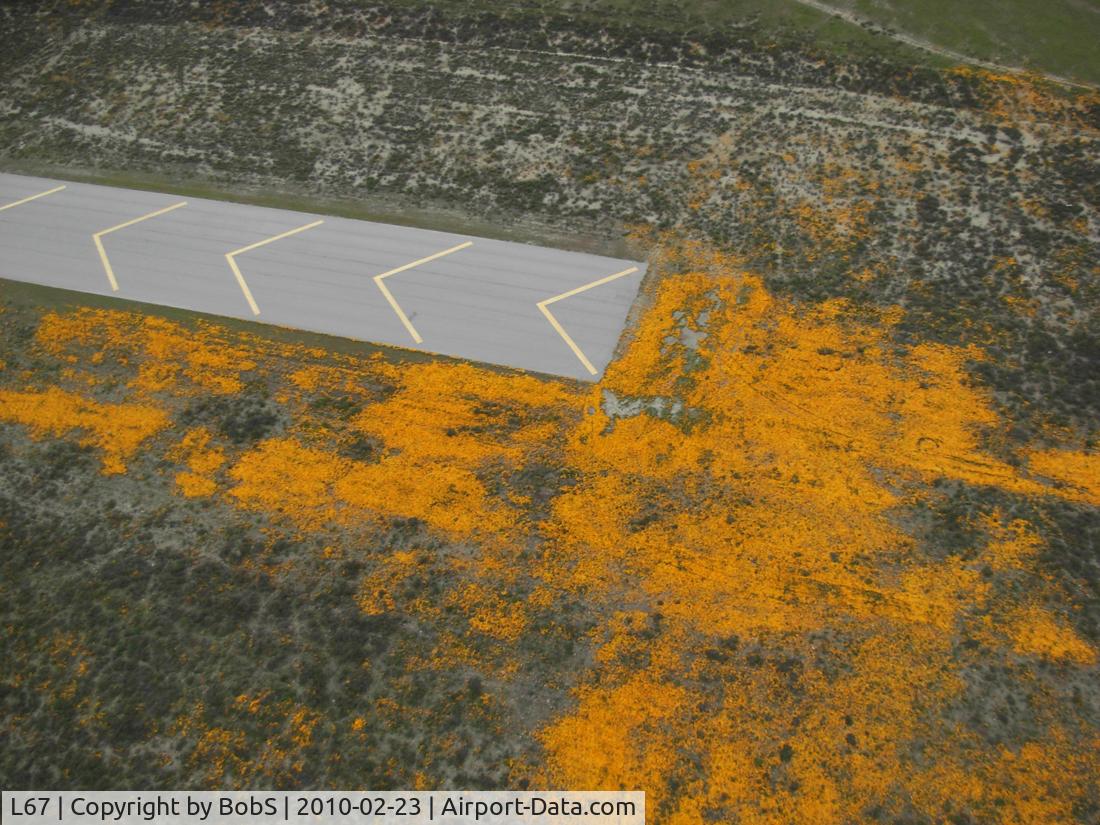 Rialto Municipal /miro Fld/ Airport (L67) - Flowers in bloom